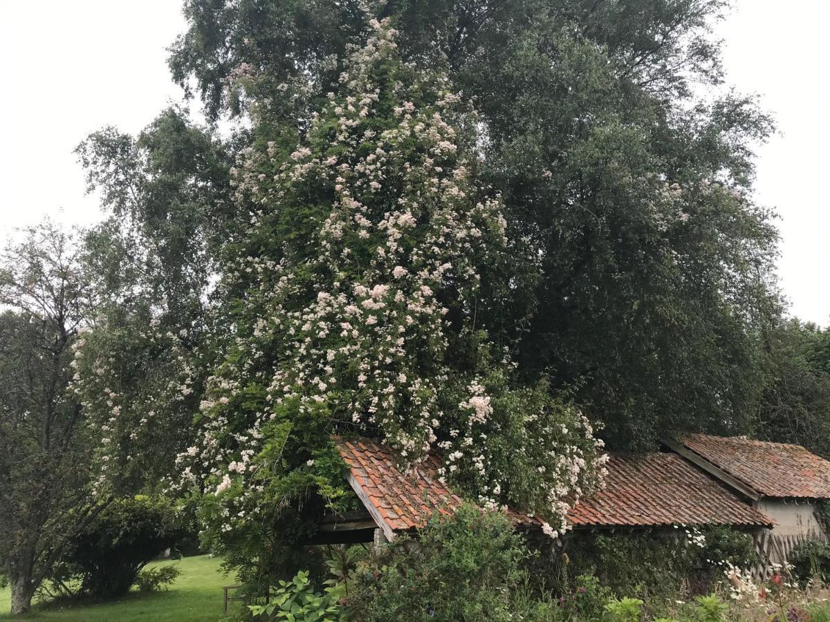 Bed and Breakfast Le Jardin Sauvage Maintenay Экстерьер фото