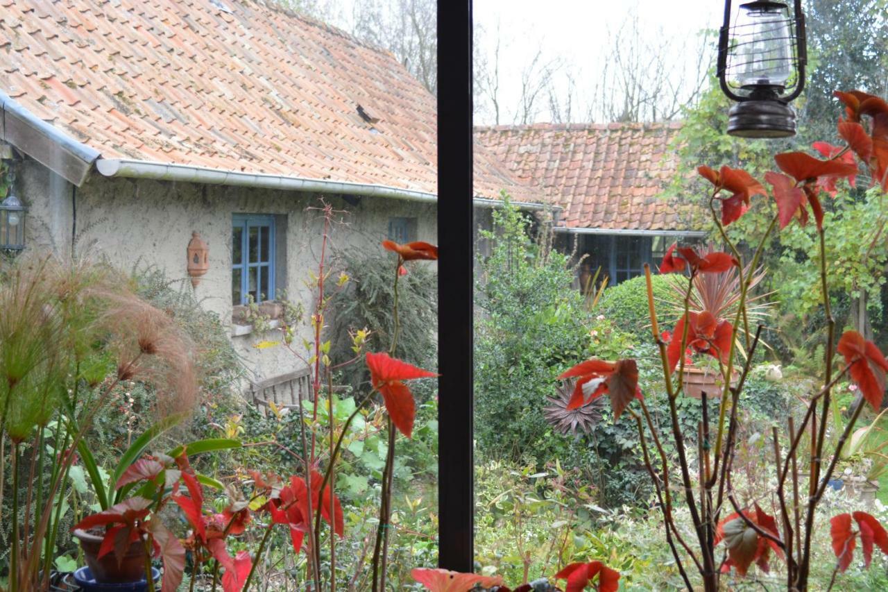Bed and Breakfast Le Jardin Sauvage Maintenay Экстерьер фото